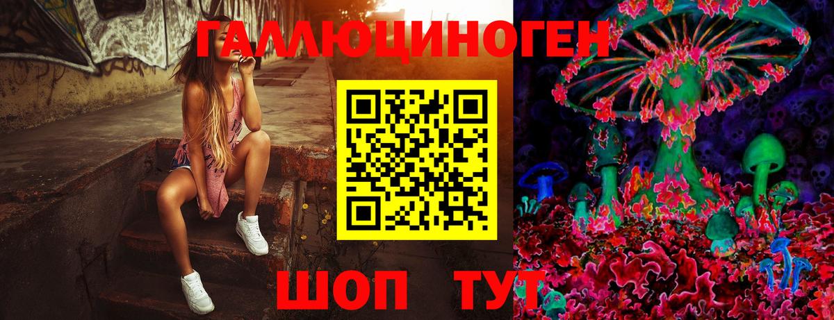 Галлюциногенные грибы Psilocybine cubensis  Вход с VPN  Сургут 
