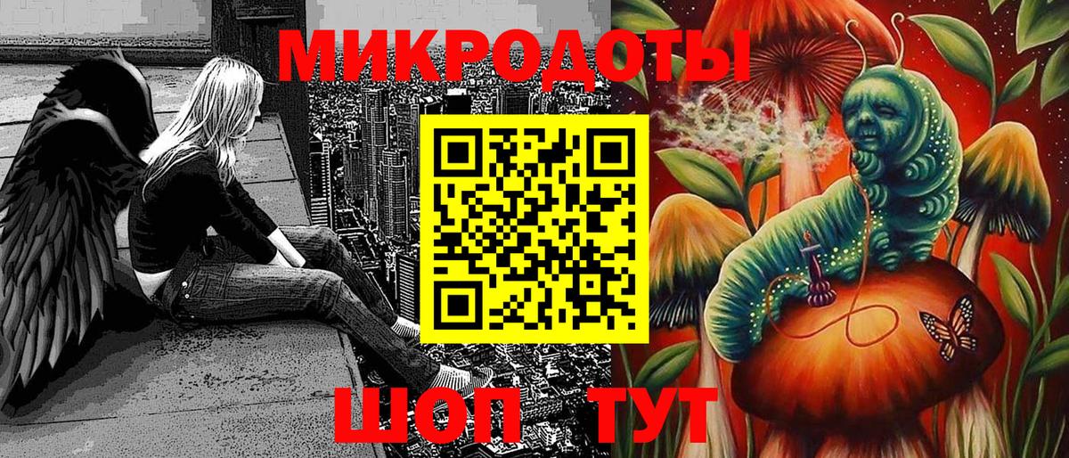 Псилоцибиновые грибы Psilocybe Сургут